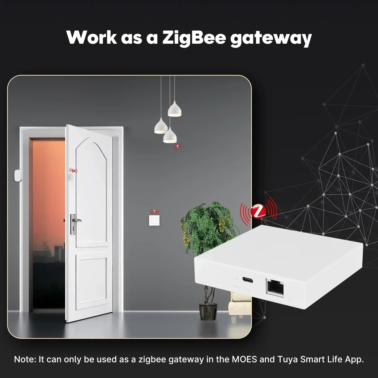 MOES Tuya Zigbee Matter Thread - Diy Home Electronics recension och pris