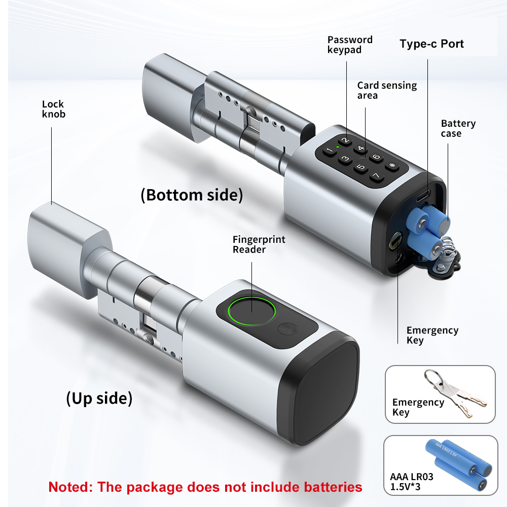 RAYKUBE V1 Tuya BLE TT Lock Sm - Diy Home Electronics recension och pris
