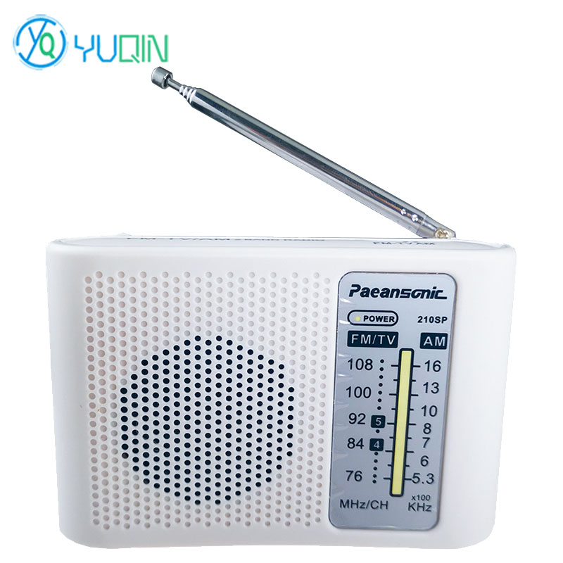 210SP AM/FM Radio Kit DIY Elec - Diy Electronics Projects For Beginners recension och pris